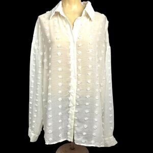 Women’s Semi Opaque Oversized Swiss Dot Blouse  XL  Whimsey  Coquette  3D